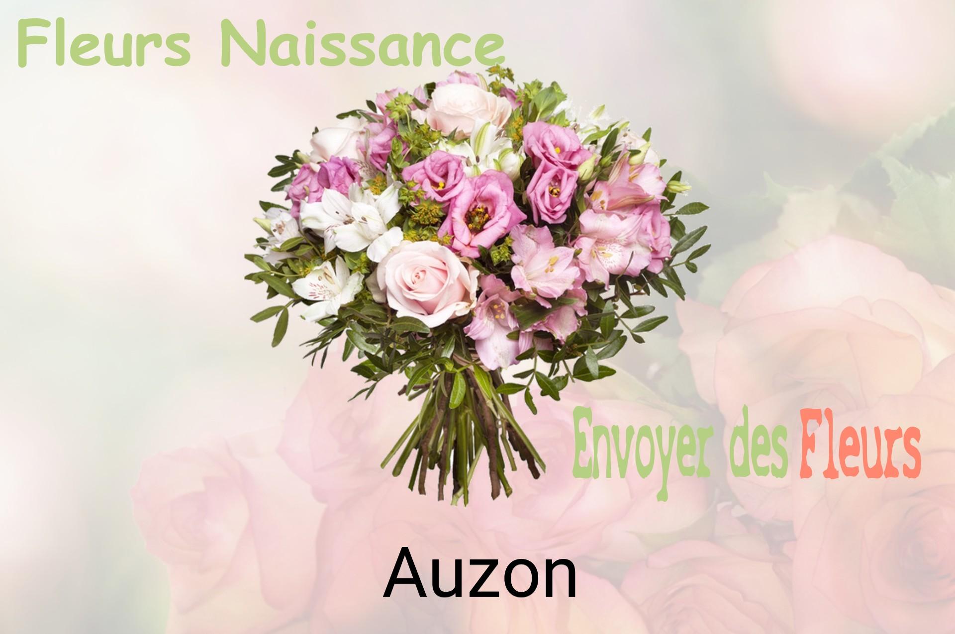 Bouquet de fleurs de naissance livré à Auzon